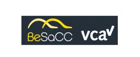 BeSacc logo