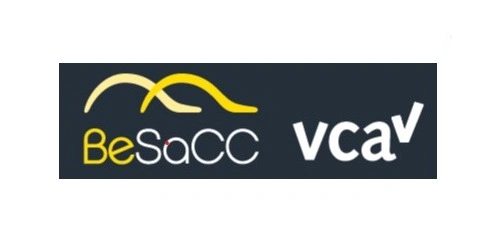 BeSacc logo